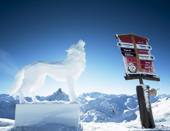 courchevel loup