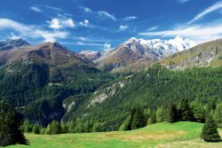 service montagne été