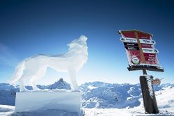 loup une