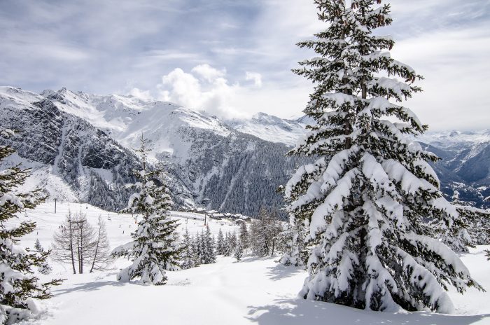 nouveautés-paysage-rosiere-terresens