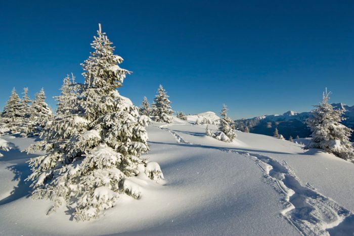 LaPlagne_Montalbert_Chalet_des_Neiges_Paysage