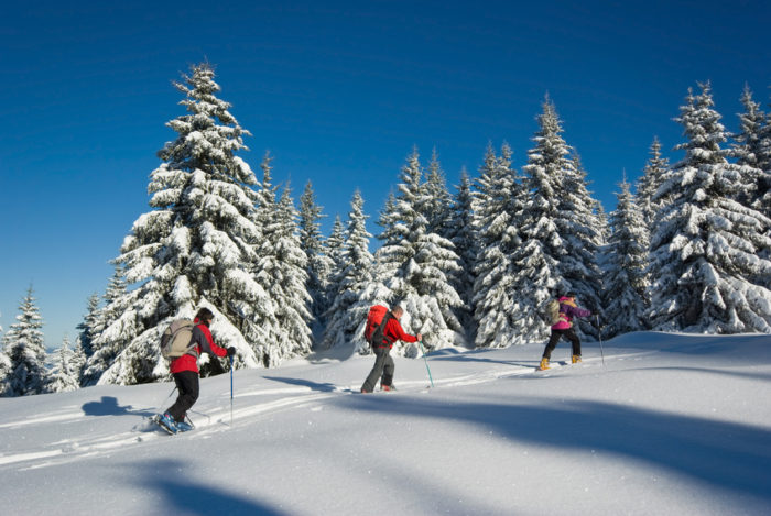 Raquettes_Serre_Chevalier_Terrésens