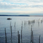 Cap_Ferret_Terrésens